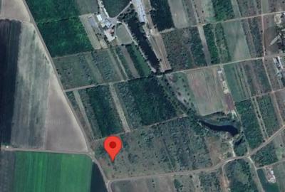 Teren de 1200 mp, în Costi - 3