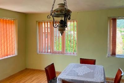 Casa i Mehadica - 11