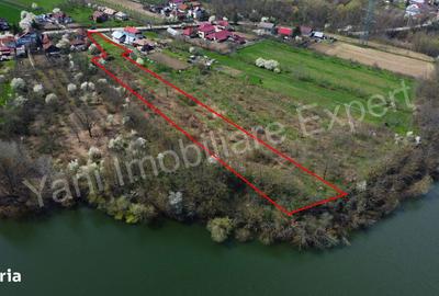 Teren de 3595 mp, în Merișani - 1
