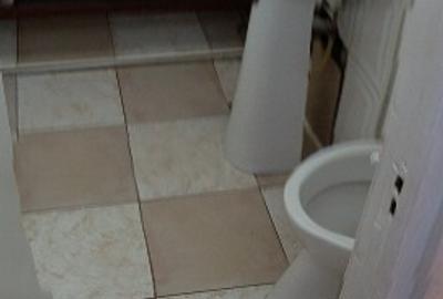 Apartament cu 3 camere semidecomandat în Giurgiului - 5