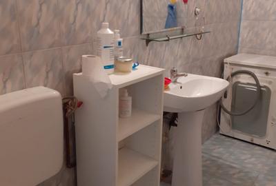 Stefan cel Mare,Spital Colentina,Amenajat,nemobilat,Liber - 14