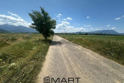 Teren Construcții extravilan de 5000 mp, în Râșnov Romacril - 1