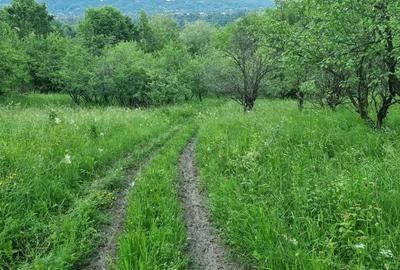 Teren de 5200 mp, în Central - 3
