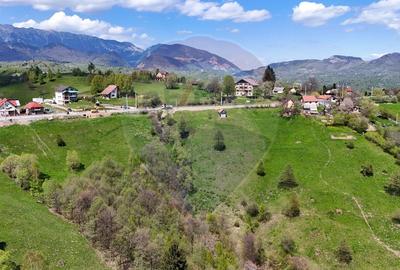 Teren Construcții intravilan de 5694 mp, în Moieciu - 9