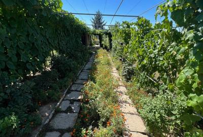 Casă cu 3 camere cu Teren 2900 Mp în Alba - 13