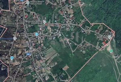 Teren de 3500 mp, în Păun - 2