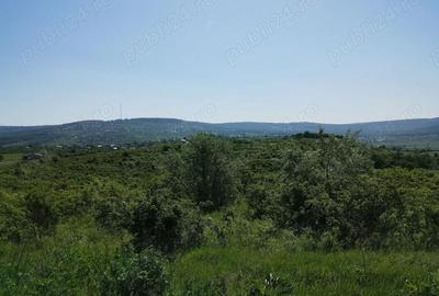 Teren de 350 mp, în Cercu - 2