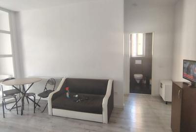 Apartament cu 2 camere decomandat în Lunca Cetățuii - 4
