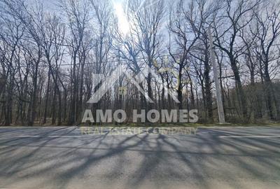 Teren Construcții intravilan de 5000 mp, în Ciorogârla - 6