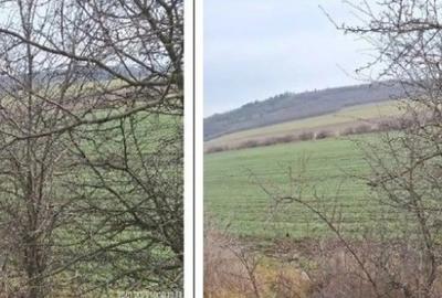 Teren de 18800 mp, în Deleni - 3