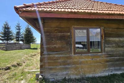 Casă cu 3 camere în Râșca - 3