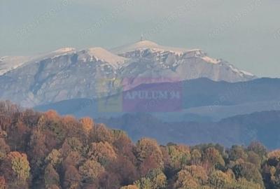 Teren de 3092 mp, în Telega - 2