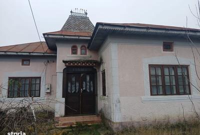 Casă cu 4 camere cu Teren 5000 Mp în Central - 3