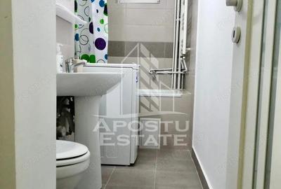 Apartament cu 2 camere semidecomandat, mobilat în Dacia - 5