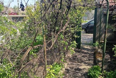 Casă cu Teren 365 Mp în Rahova - 1