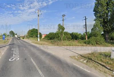 Teren 3000mp pe malul lacului Buftea - 4