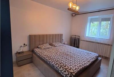 Casă individuală cu 3 camere cu Canalizare în Valu lui Traian - 14