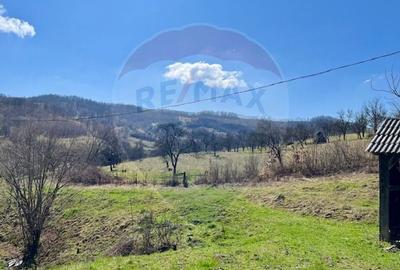 Teren agricol extravilan de 7495 mp, în Bârsana - 4