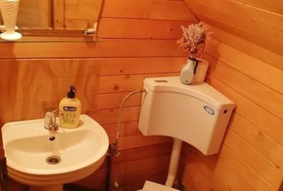 Casă cu 1 camere cu Teren 300 Mp în Ocna Șugatag - 6