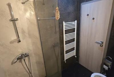 Garsoniera  de LUX,  zona centrala ( Milea-Calea Dumbravii) - 5