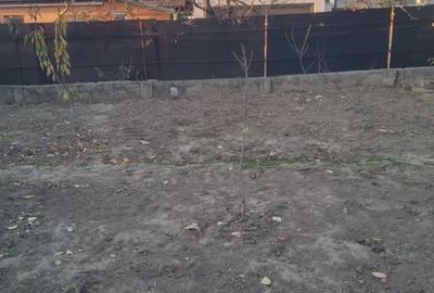 Casă cu 3 camere în Oncea - 5