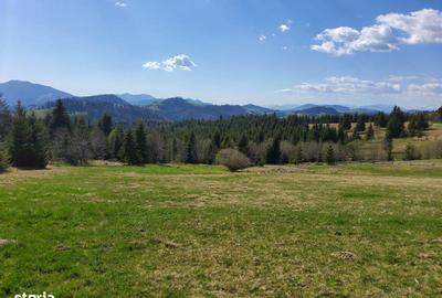 Spațiu comercial, în Piatra - 4