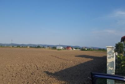 Teren intravilan, 2290mp, deschidere 21ml, in Serbanesti - 2