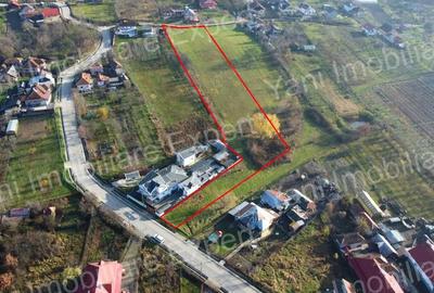 Teren de 4804 mp, în Argeșani - 1