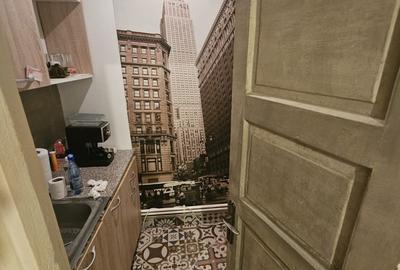 Apartament cu 2 camere spatios 60 mp  Gradina Publica - 5