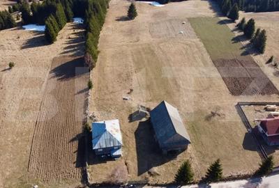 Teren de 10909 mp, în Râșca - 5