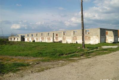 Teren de 21513 mp, în Pojogeni - 3