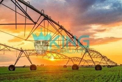 Teren agricol extravilan de 16000000 mp, în Teleormanu