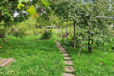 Casa de vanzare, Reghin - 9