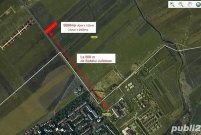Teren de 5000 mp, în Roua - 5