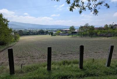 Teren de 3057 mp, în Bujoreni - 5
