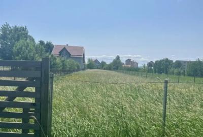 Teren de 2020 mp, în Rădăuți - 3