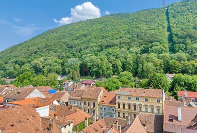 Zona Centrala Structura Generoasa - 8