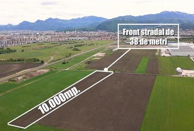 Teren agricol intravilan de 10000 mp, în Griviței