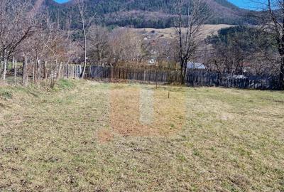Teren intravilan de 4.000 mp în Bistrița – Alexandru cel Bun - 9