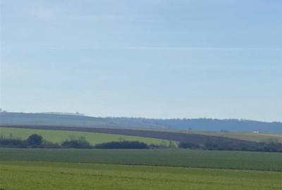 Teren intravilan de 42050 mp, în Tăuteu - 2