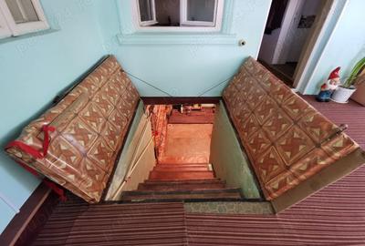 Casă cu 5 camere cu Teren 4365 Mp în Vidra - 3