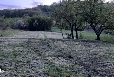 Teren de 3200 mp, în Central - 5