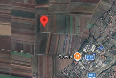 Teren de 8400 mp, în Tărlungeni - 3