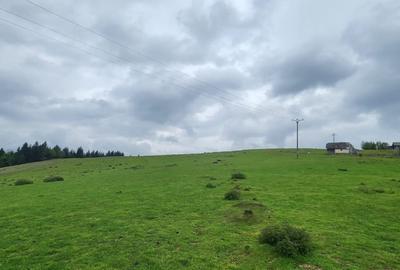 Parcele de vis in munti - Zona Arka Park, cu drum de acces si PUZ aprobat - 12