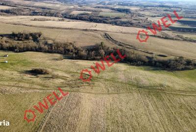 Spațiu comercial, în Căpeni - 3