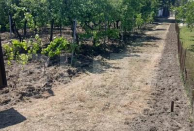 Casă cu 2 camere cu Teren 799 Mp în Central - 4