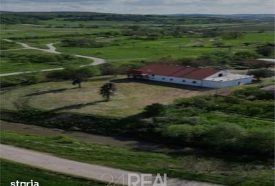 Casă cu 10 camere cu Teren 3600 Mp în Criștioru de Jos - 6