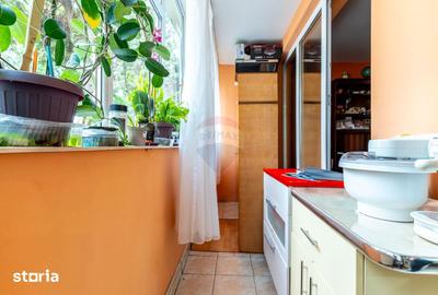 Apartament cu 2 camere în Gruia - 3