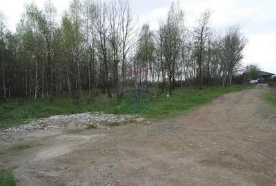 Teren de vanzare intravilan Tau?ii Magherau?/Busag - 2