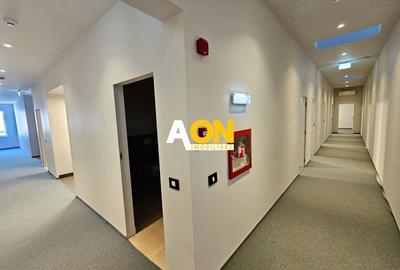 Clădire istorică ultracentrală, PUB + 13 birouri, S+P+M, renovată 2024 - 19